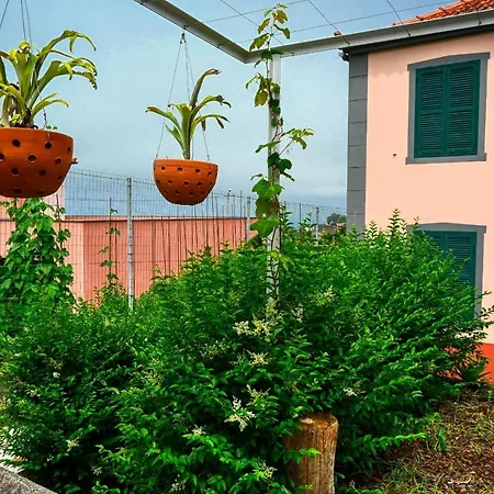 Os Ferreirinhos, A In Madeira * São Jorge