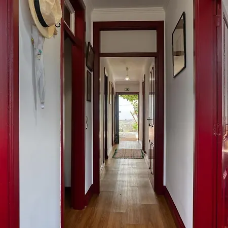 Os Ferreirinhos, A In Madeira Vakantiehuis