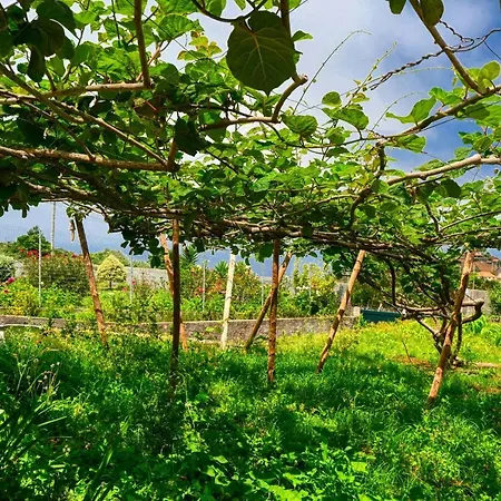 Os Ferreirinhos, A In Madeira Vakantiehuis *