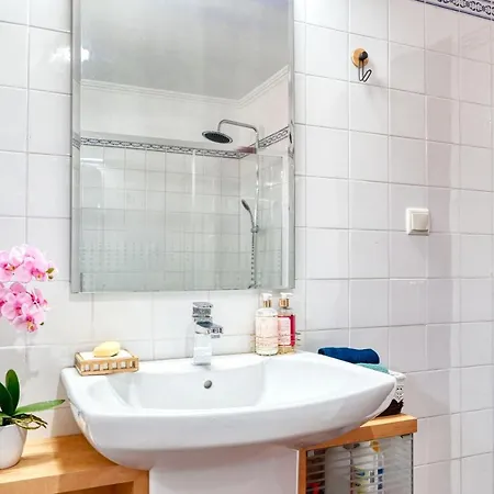 Vakantiehuis Os Ferreirinhos, A In Madeira *