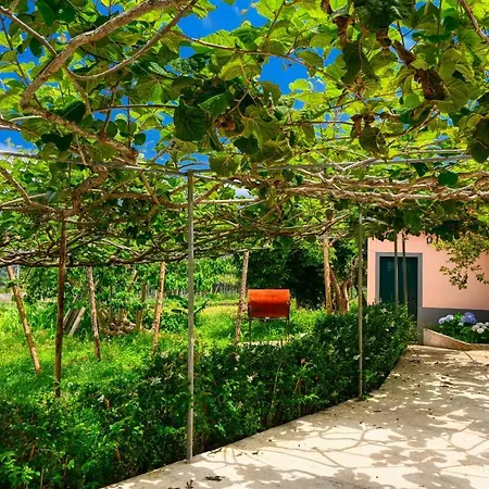 Os Ferreirinhos, A In Madeira São Jorge