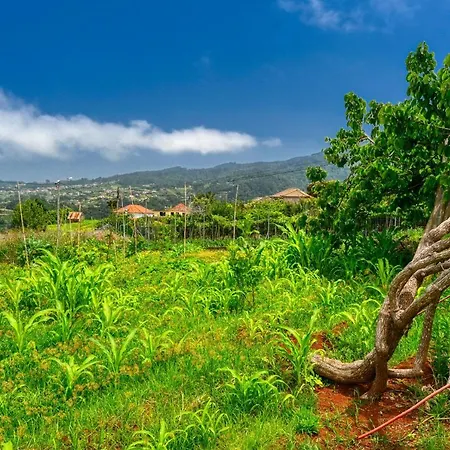 Vakantiehuis Os Ferreirinhos, A In Madeira São Jorge
