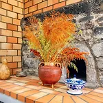 Feriehus Os Ferreirinhos, A In Madeira