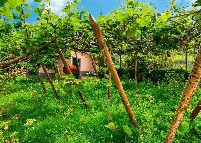 Os Ferreirinhos, A In Madeira * São Jorge