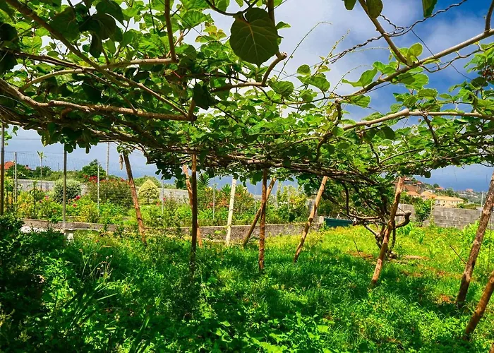 Os Ferreirinhos, A In Madeira Prázdninový dům *