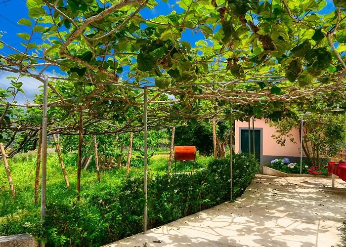 Os Ferreirinhos, A In Madeira São Jorge