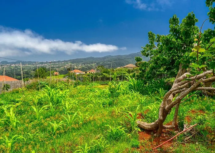 Prázdninový dům Os Ferreirinhos, A In Madeira São Jorge